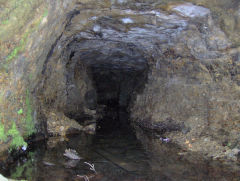 
Nant-y-Ddraenog drainage level, Cwmfelinfach, May 2009